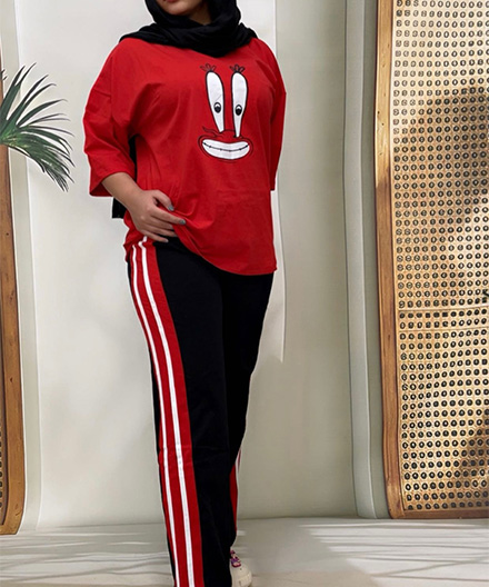 ست لانک و بگ انیمیشن